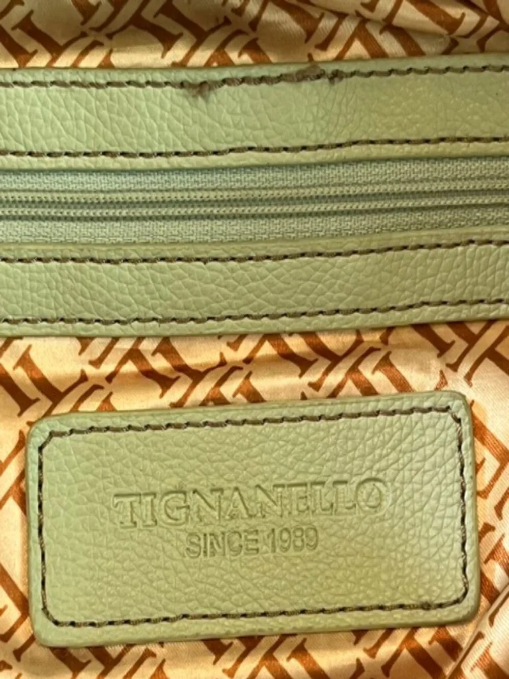TIGNANELLO | Mint Green Pebbled Leather Handbag Purse Hobostyle